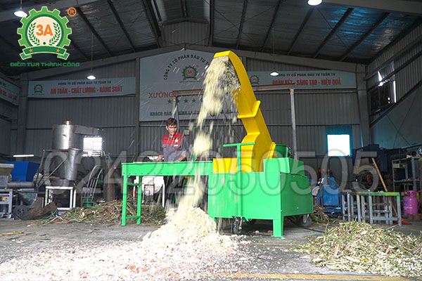Ủ chua thân cây sắn làm thức ăn cho trâu bò (05)