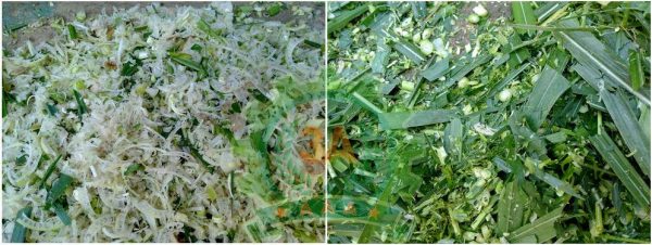 Ủ chua thân lá lạc dại làm thức ăn cho gia súc: Bà con có thể dùng Máy băm nghiền đa năng 3A để băm thân lạc dại