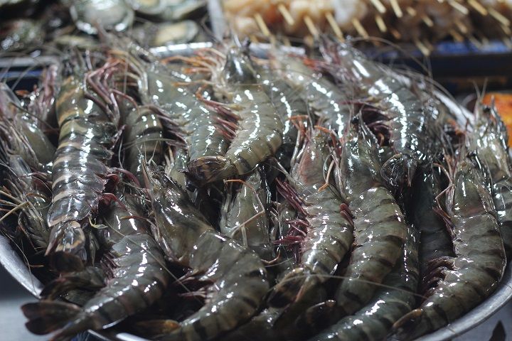 Xuất khẩu tôm tươi Việt Nam sang thị trường Úc