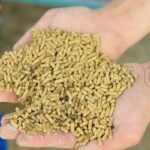 Công thức phối trộn cám viên cho từng vật nuôi với máy ép cám viên