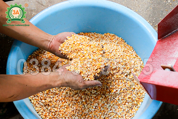 máy nghiền ngô vỡ hạt