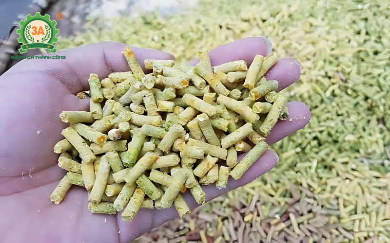 Máy ép cám viên cho gà – bí quyết tự chủ nguồn thức ăn tại nhà đơn giản