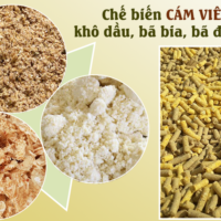 Tự ép cám viên cho lợn có thực sự hiệu quả hơn dùng cám công nghiệp? Tự ép cám viên cho lợn có thực sự hiệu quả hơn dùng cám công nghiệp