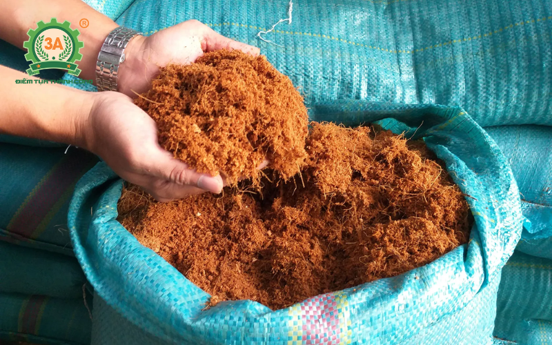 Ứng dụng của xơ dừa băm nhỏ trong trồng rau sạch và trồng nấm