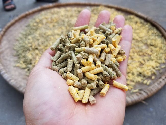 máy ép cám viên cho lợn 