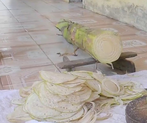 Ưu nhược điểm của máy thái chuối so với chặt thủ công: Nông dân nên biết