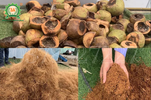 Giải pháp tái chế tại chỗ bằng máy băm xơ dừa giúp nông dân tăng thu nhập