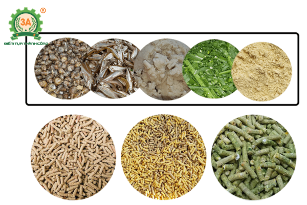 Đánh giá hiệu quả kinh tế: tự làm cám tại nhà vs. mua cám công nghiệp