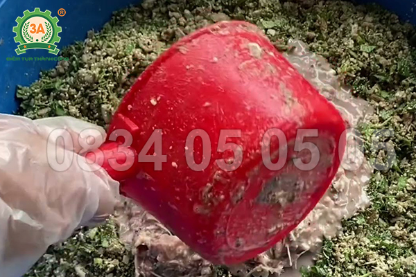 Từ hạt đến khẩu phần: dựng công thức ngô – đậu – khoai theo từng giai đoạn tăng trọng