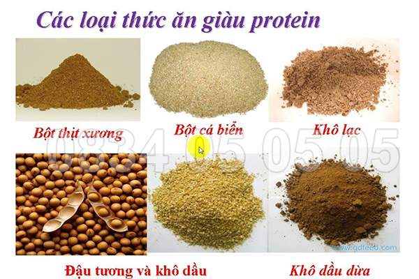 Từ hạt đến khẩu phần