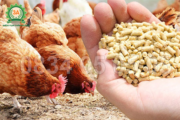 Tính bài toán hoàn vốn khi đầu tư máy ép cám viên cho hộ 100–300 con.