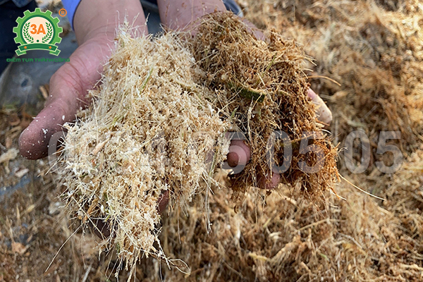 5 sai lầm khiến xơ dừa làm giá thể xong vẫn khó trồng cây