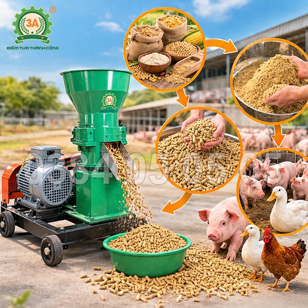 Có nên tự ép cám viên cho gà, vịt, lợn? Máy ép cám viên loại nào tốt?