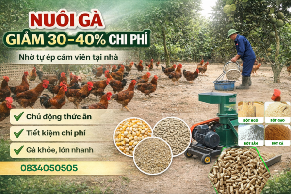 Giảm 40% Chi Phí Nhờ Máy Ép Cám Viên Cho Gà