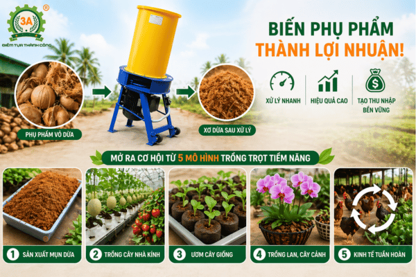 5 mô hình kiếm tiền từ xơ dừa sau xử lý bằng máy băm xơ dừa công nghiệp