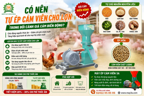 Có nên mua máy ép cám viên tại Hà Nội để tự sản xuất cám cho lợn?
