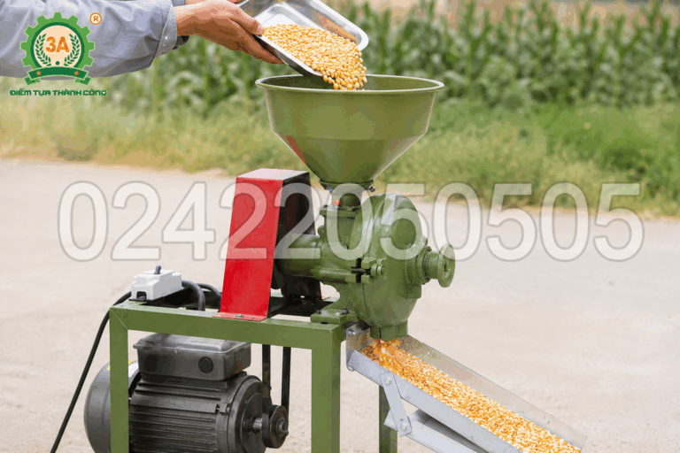 Vận hành máy nghiền cám ngô, đổ ngô hạt vào phễu nạp liệu