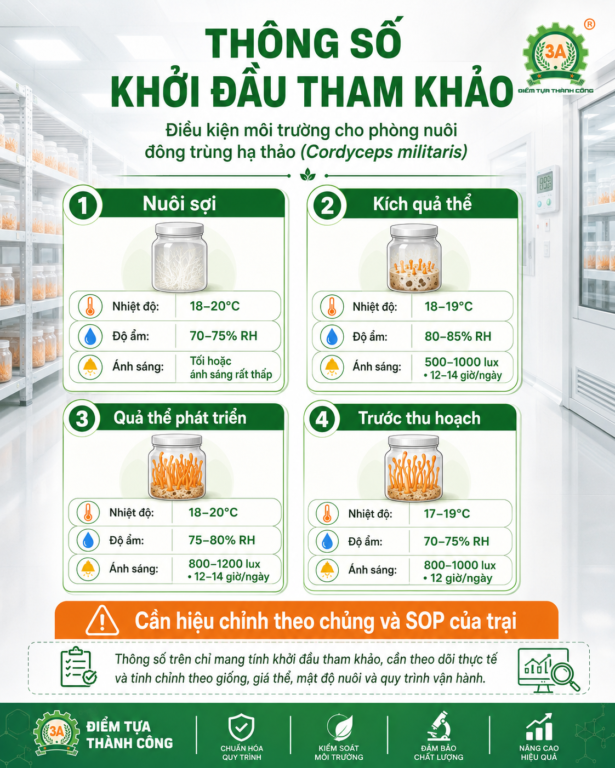 Bảng tham khảo nhiệt độ độ ẩm theo giai đoạn nuôi Cordyceps militaris